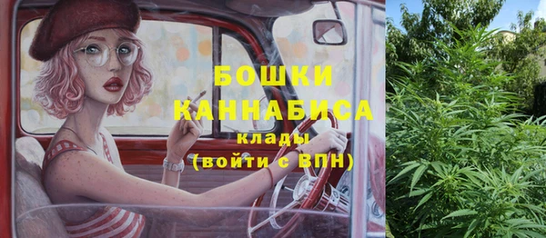 молекула духа Нефтекумск