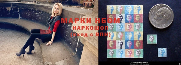 молекула духа Нефтекумск