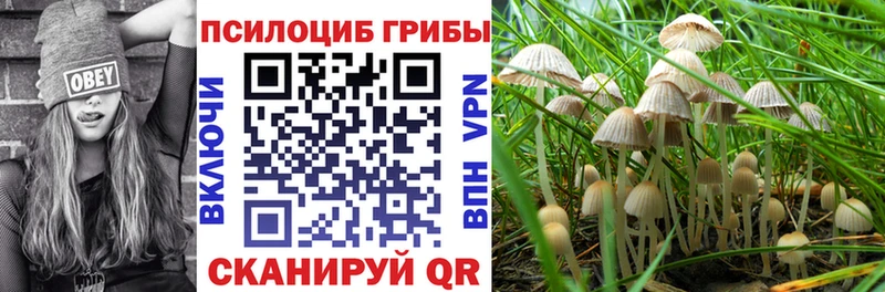 Псилоцибиновые грибы MAGIC MUSHROOMS  shop Telegram  Скопин  сколько стоит 
