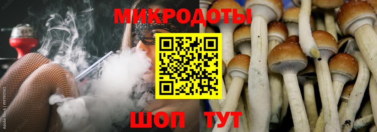 Скопин  Псилоцибиновые грибы Cubensis  Вход с VPN 